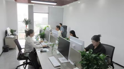 China Shanghai Apying Technology Co., Ltd. Bedrijfprofiel